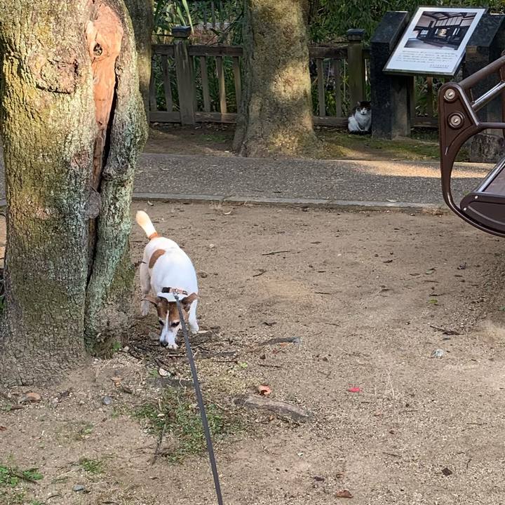 3f758955 260c 4a4b a476 982acad1d089 1574556739158