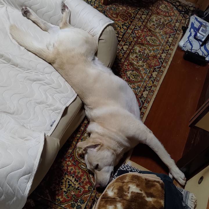 3f759790 4825 4fc7 ad37 85c9888ff184 1663000411658