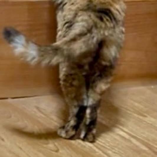 3f75a465 f747 4757 986a 454b66cae40f 1770122697718