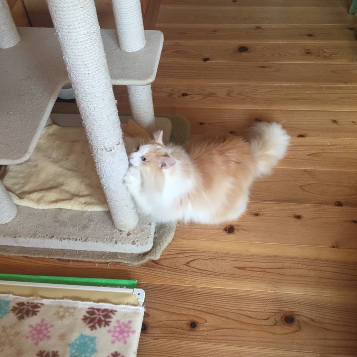 3f75c614 b503 48a2 97eb 0683311997b7 1602707608187