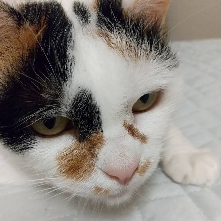 3f75f119 a3df 4898 ab87 68c43cdb13cc 1628858755391