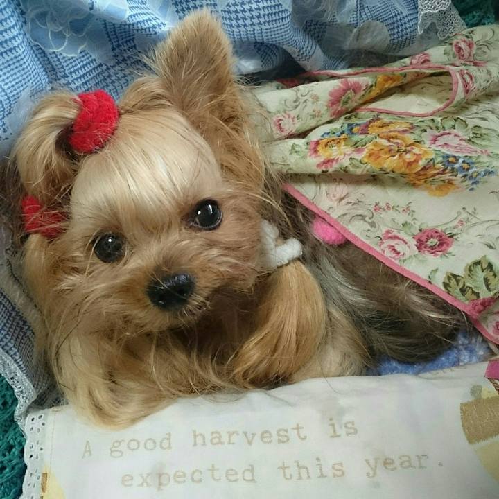 3f7600e8 8ec2 4a47 83ce f1e21795dc55 1535431865425