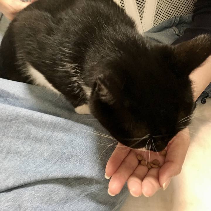 3f760be0 a8bb 42f3 9baf 6edf9f4f2019 1567563420026