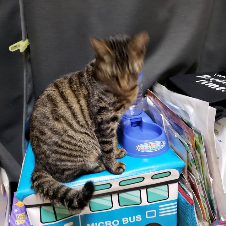 3f763503 2b93 440d 85c0 2e74583fb046 1545037595729