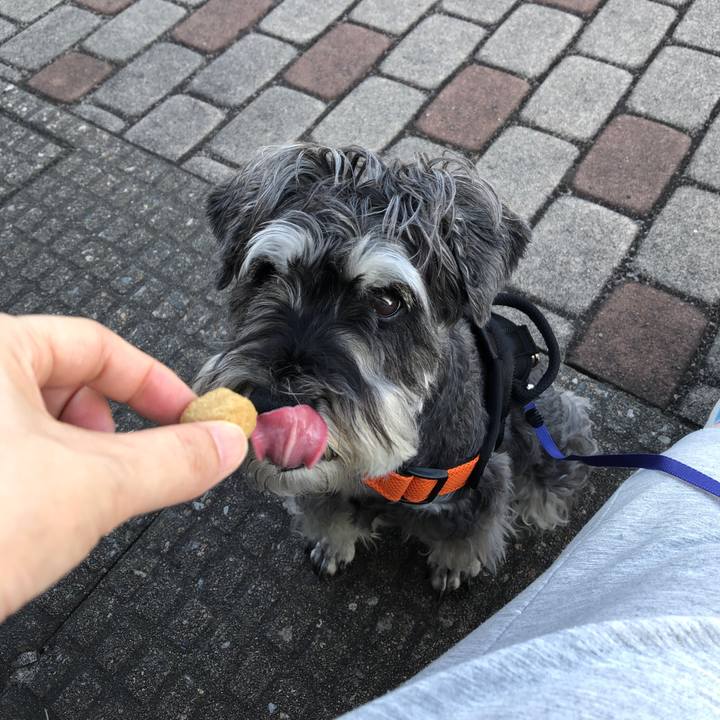 3f763ef2 1c56 4f10 a6a4 7881b7f02a6e 1690071940962