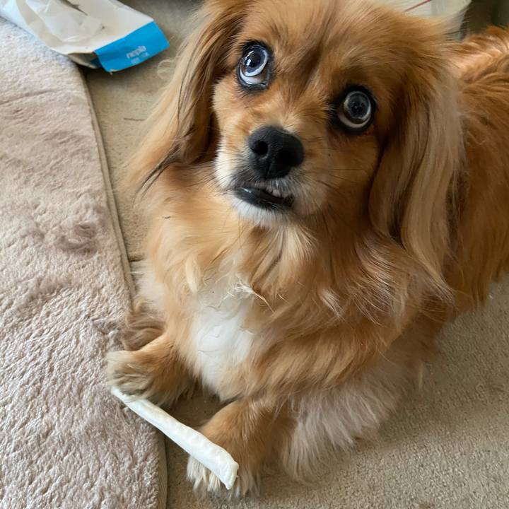 3f765238 f683 4152 8b3e 3f53b3ff16be 1589494853261