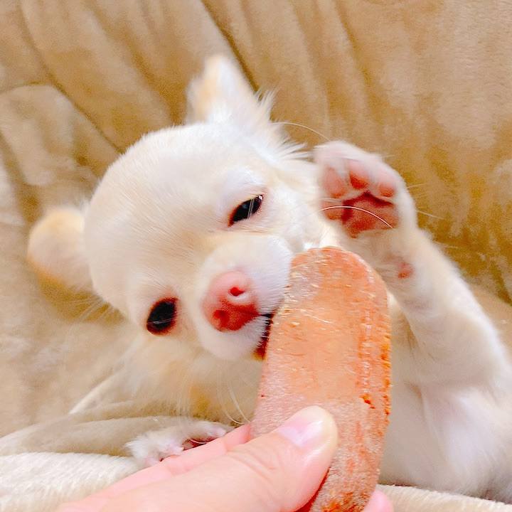 3f765e82 7a9e 400b abf7 0fb54beaf105 1608970002516