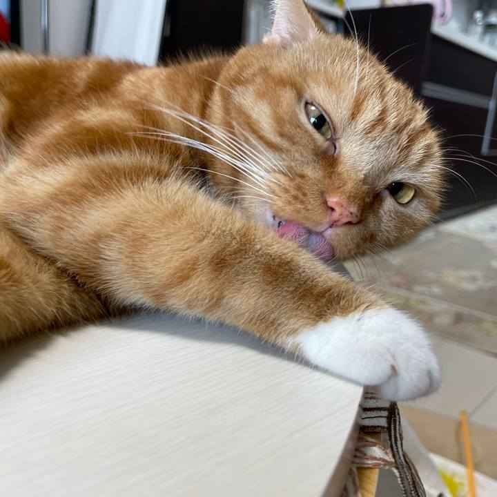 3f76c89f ce89 4f8e b759 b818aa4820da 1631418515586