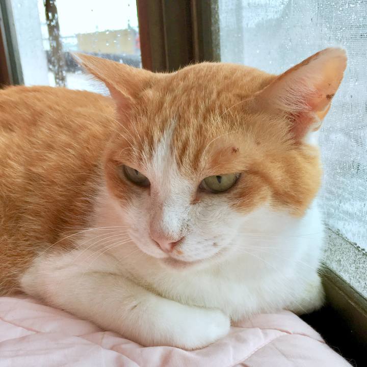 3f76d2e3 d072 490e 96b4 64143e91a44a 1566269496899