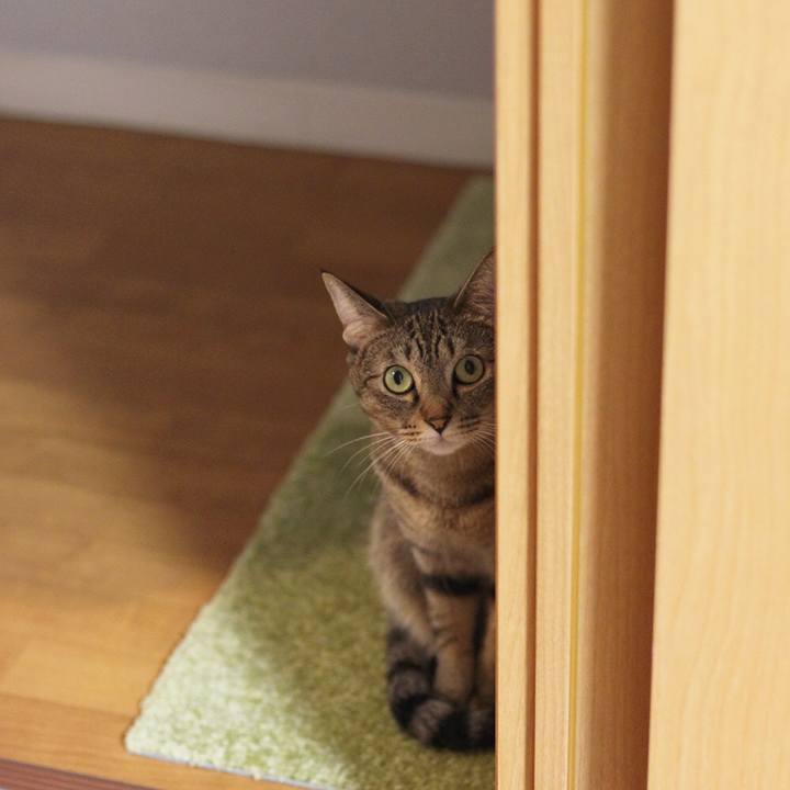 3f76d888 8439 42ee 912b fc0c3440726e 1539338258622