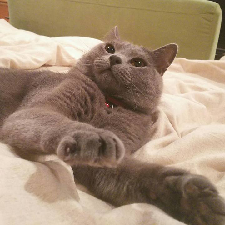 3f76d9a2 bc4d 4ae6 8889 bbf943bd2734 1530796117173