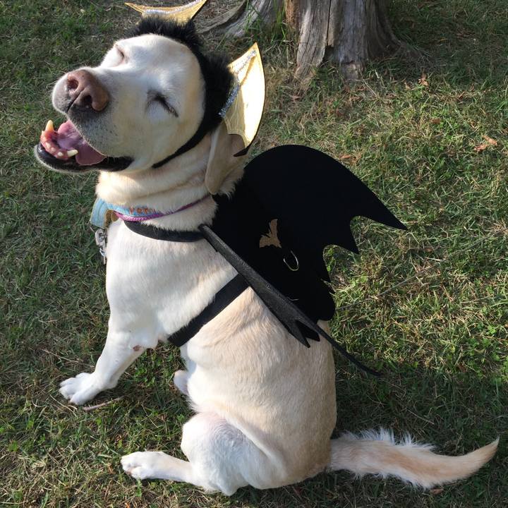 3f76ecc7 9266 4890 916c 370ac78c0665 1604061545770