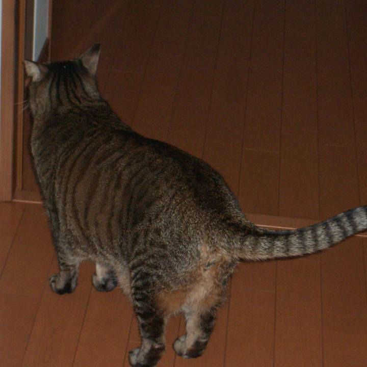 3f771358 aa3c 4360 b8a9 54803c1cab59 1508750037044