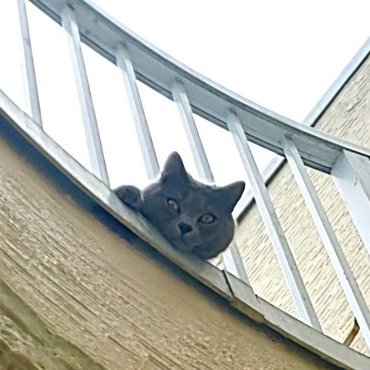 3f77173f 943f 4ca9 bc01 672f8d5511b8 1588991519541