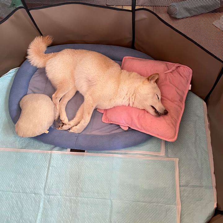 3f7794b4 bbd9 4615 ac42 7864c0a11878 1655466320197