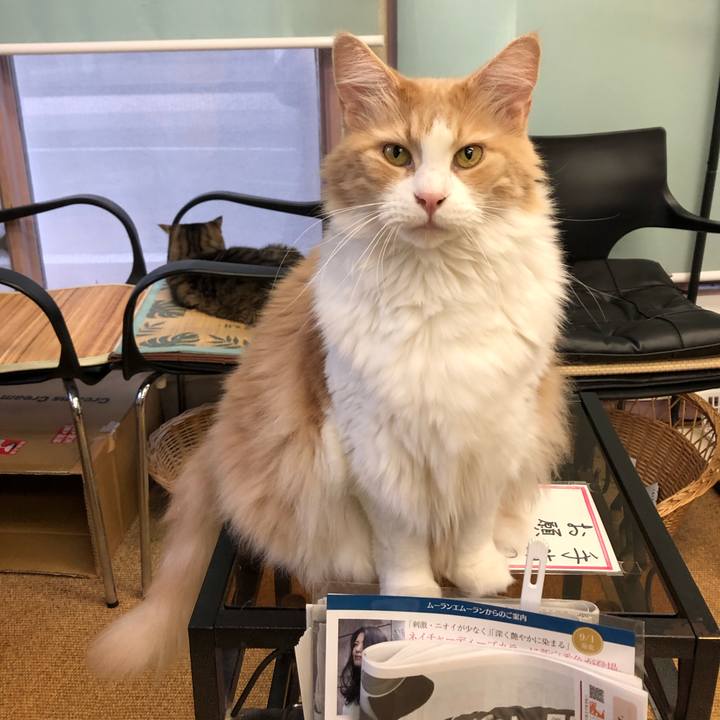 3f77f63f 9c20 4618 98ca c98785164621 1645489073859