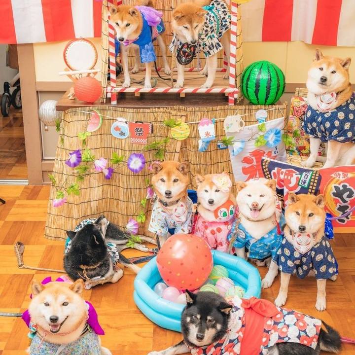 3f78298b d056 4aa9 a028 2640699c7973 1724638289753