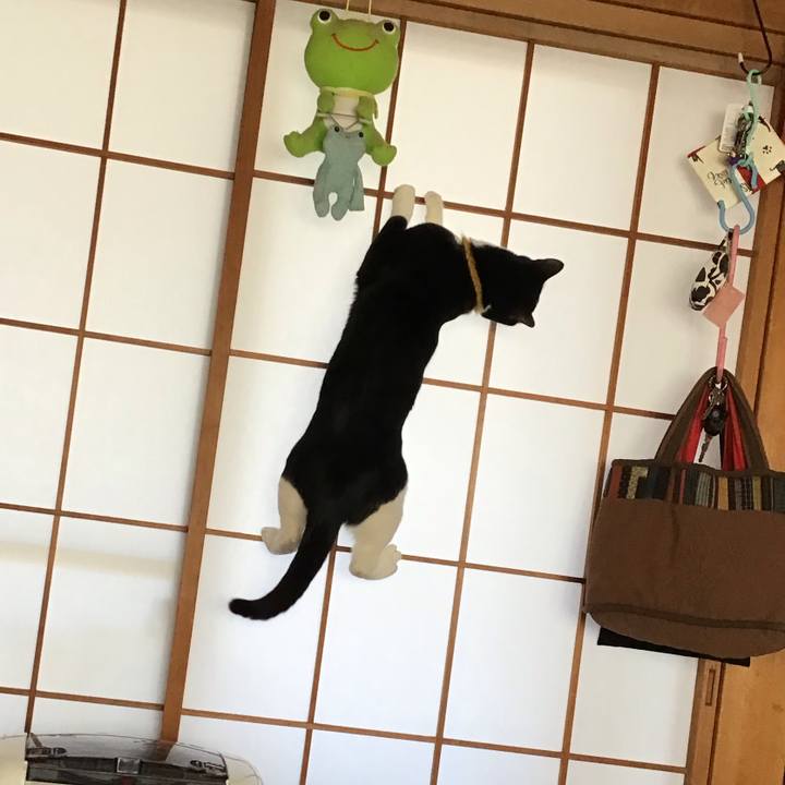 3f786ded bdb1 42bc 95b3 ec42e5d98106 1645667980383