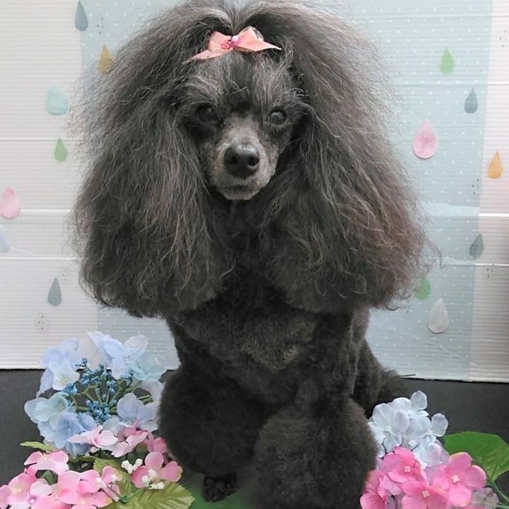 3f787ff3 2c63 4bba 94a5 8b85918a5128 1686529538944