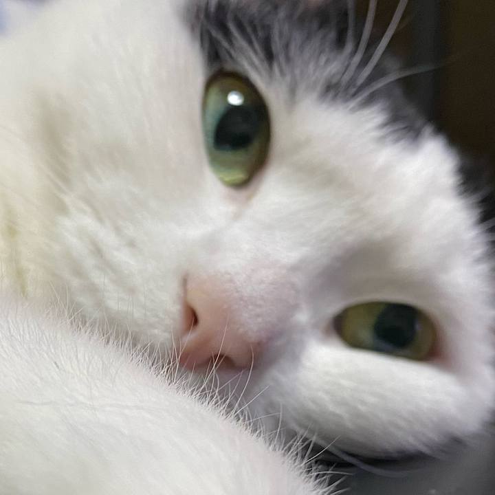 3f789d96 f970 4024 b065 77821a2c6d11 1775832041626