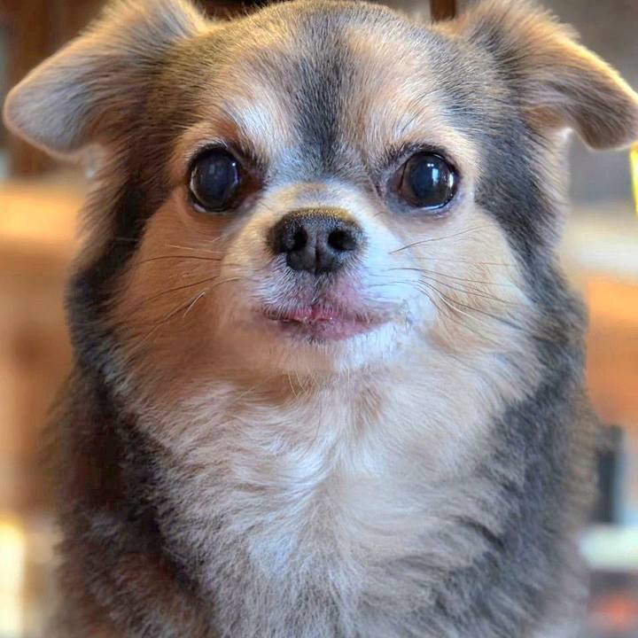 3f78a31c 128a 4d5a a9a8 c7c9098e5048 1768031903610