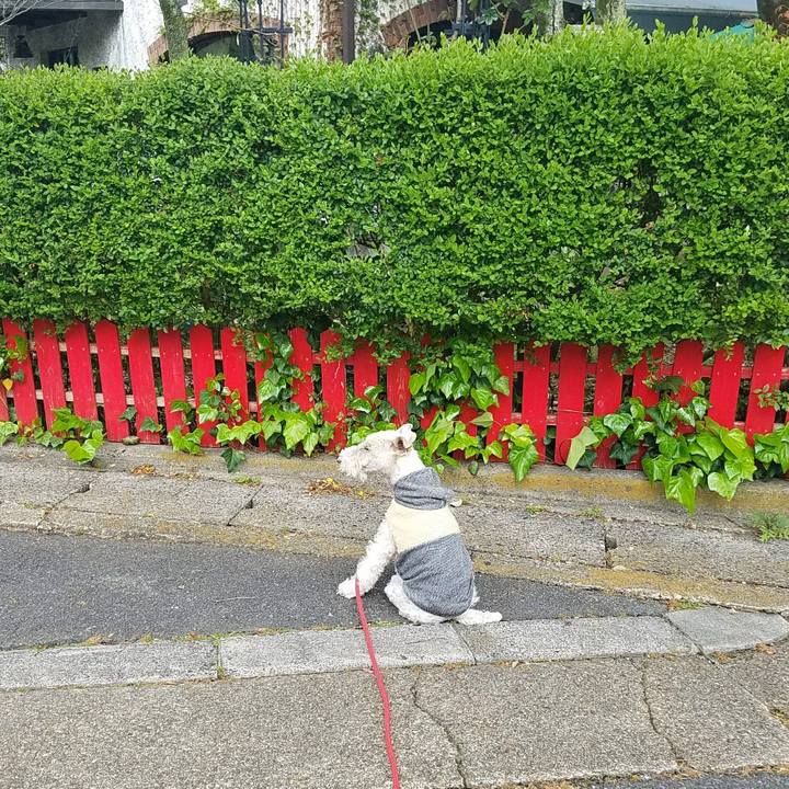 3f78c59b b14e 4e63 a178 04595b90dedf 1523104932785