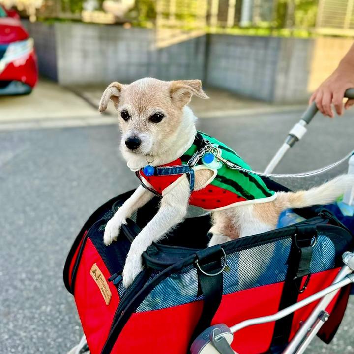 3f78d5b4 fa36 4291 9ef6 844e4250f927 1753571125381