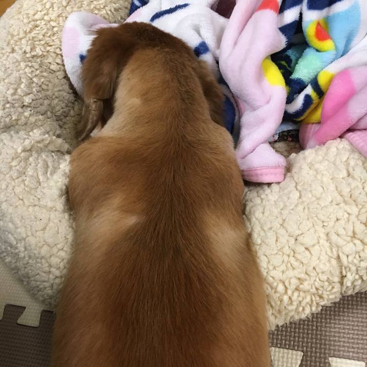 3f78f31e bf7f 4f7e bafc 85687d6e6295 1577451313521