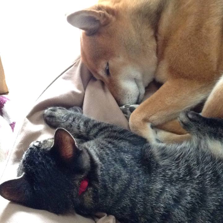 3f78fa0d 539f 4dd0 8aea ba7ce20e9fec 1535006077466