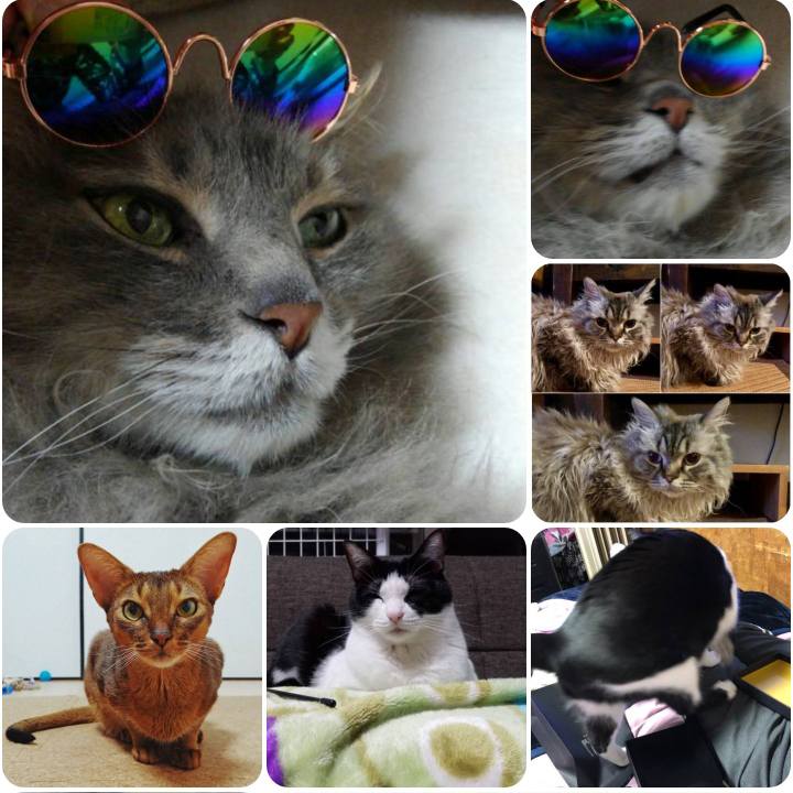 3f79089c f7fd 4fe5 abc0 26f840759ce5 1555423075110