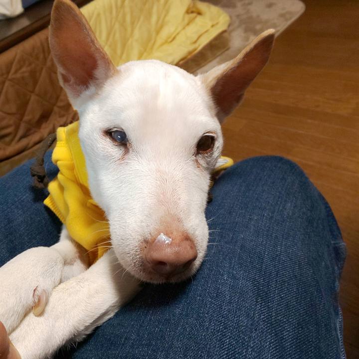 3f792ce7 978b 40bd b27f d157e753cba5 1547638171198