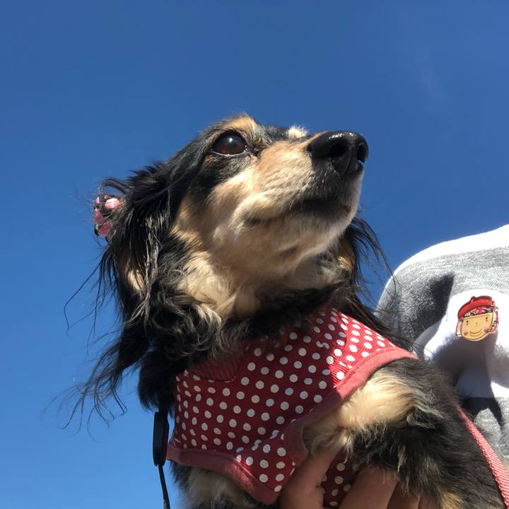 3f79671b 3e4d 4b32 936f 0cbbfe6bd7c3 1555546032947