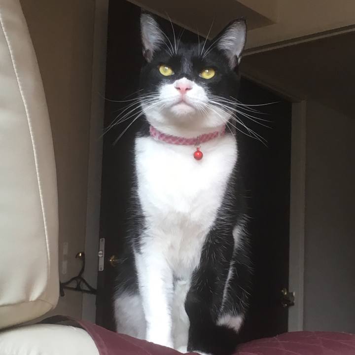 3f79bb5e 4c27 4811 9d2f 0cf3f61dc4eb 1561176620762