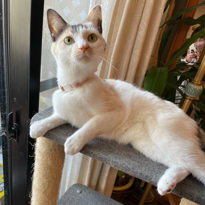 3f7a0427 58cb 450e ab69 5f88d4bcfdc6 1735438076385