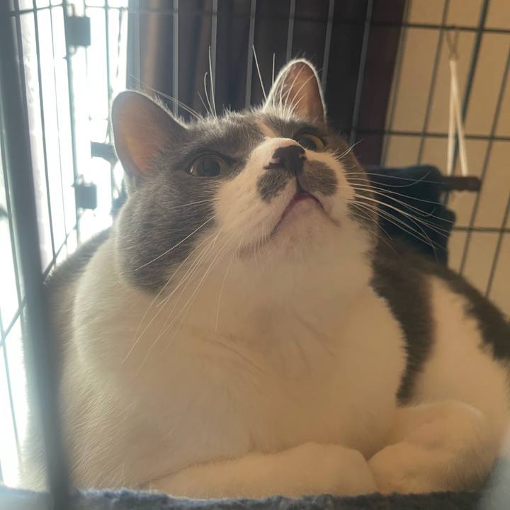 3f7a082e 8e6d 4d01 81d7 fbb8e59f7217 1728341793194