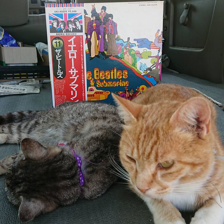 3f7a2d9b 08fa 42c2 8dbb 466bf272d1ab 1593325828016