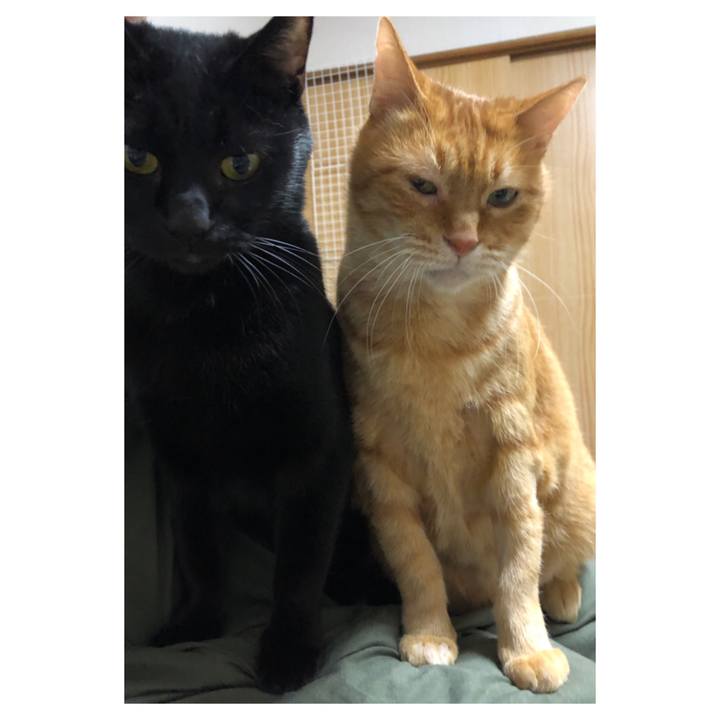 3f7a6c5d ded6 48ce 804d ab374d260abf 1673350920013