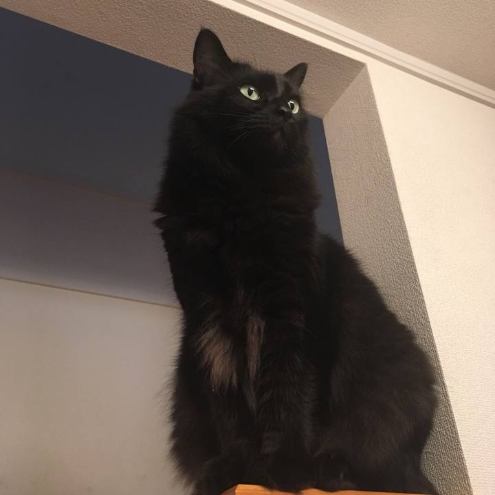 3f7a6f39 aa0b 45c5 af58 4b118debd729 1532564013042