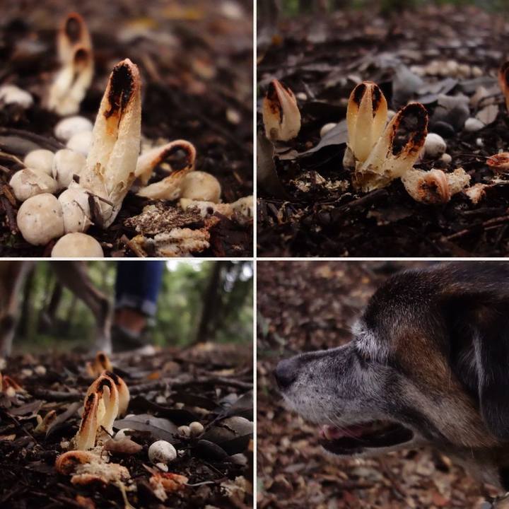 3f7a7608 b362 449b ae6e f13724400355 1537663756547