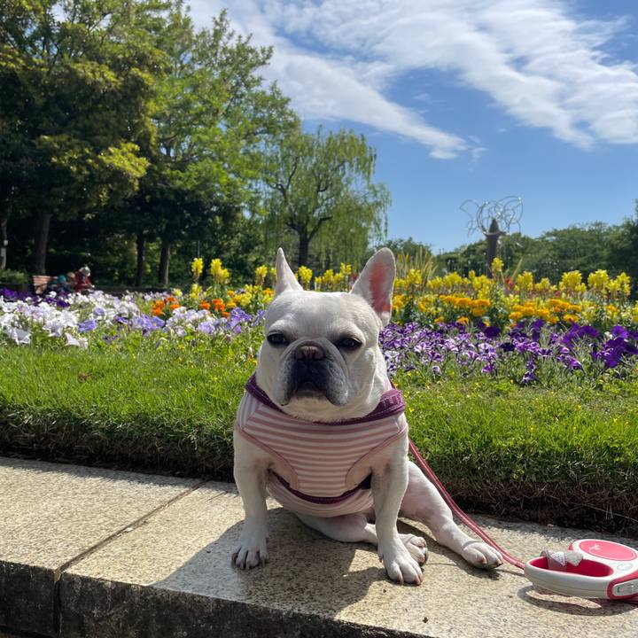 3f7a8328 44cd 4e23 8372 1435afa807a8 1746777750729