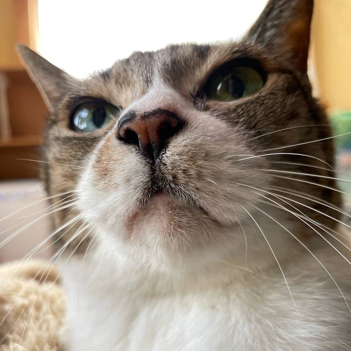 3f7aa67e c661 49cc bc25 0002cad2d919 1645233881767