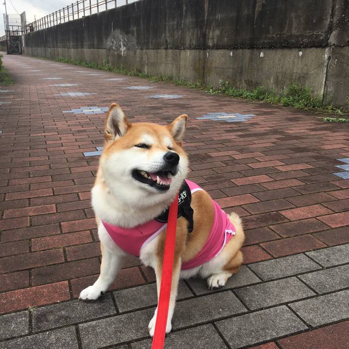 3f7ac875 7b35 4dbd b6dc 78b2a9614289 1592881621020