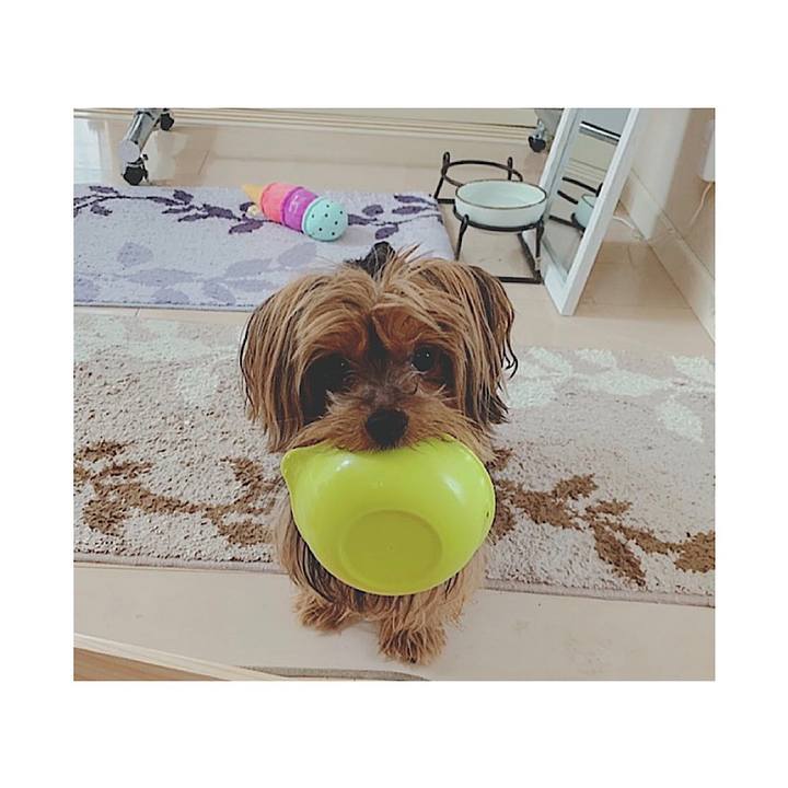 3f7acb26 66d2 449f b385 cb36ec27899a 1549943492012