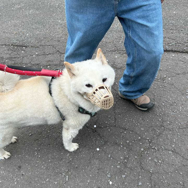 3f7ad869 a29f 44e3 8c69 34c0e0606a01 1746755745941