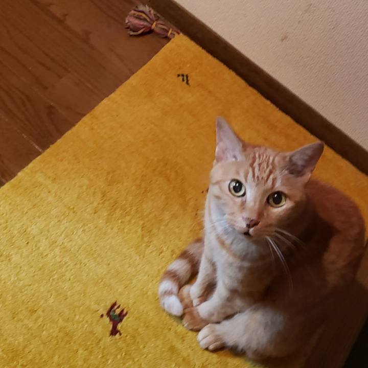 3f7ad9cd 8213 4f2e aa45 e0913e462889 1718088216301