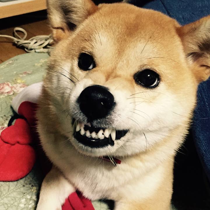 3f7afdc2 78f2 4b9b ac64 7eaa935f1228 1637237516525