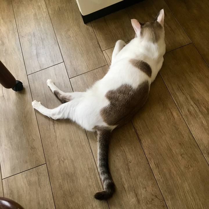 3f7b140d af70 4526 96a0 f2af98a3ab11 1566267440943