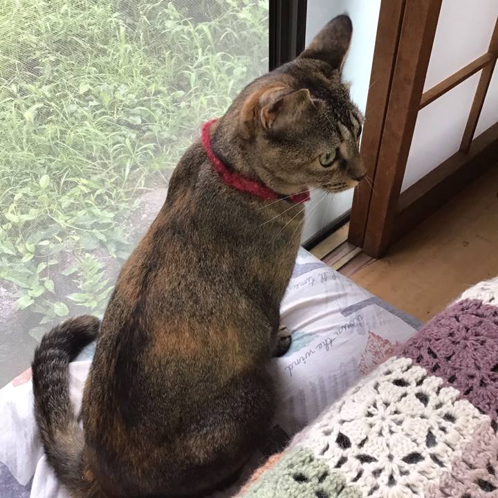 3f7b2bfa 5a35 4676 8d89 fdcdeac54272 1599348370471