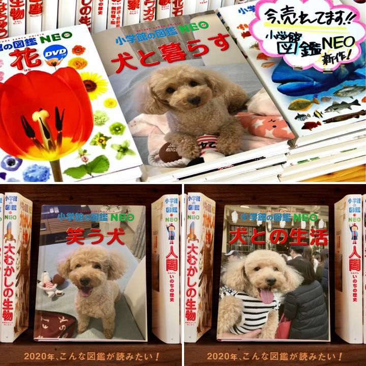 3f7b64d5 b2fe 414b 9113 5f749d58c3f2 1578645931210