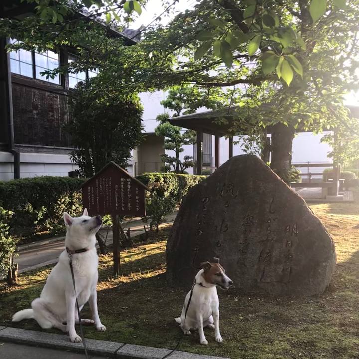 3f7b6912 1711 411a b19e 17dd758a0d27 1525356465462